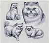 Cat - Persian