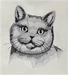 Cat - British Shorthair Head