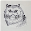 Cat - Persian Head