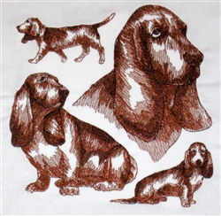 Dogs - Bassett Hound