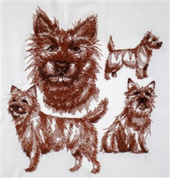 Dogs - Cairn Terrier