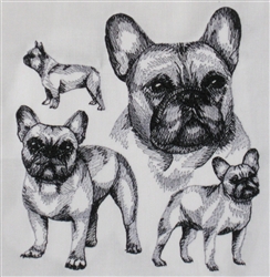 Dogs - French Bulldog