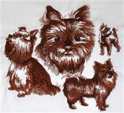 Dogs - Yorkie