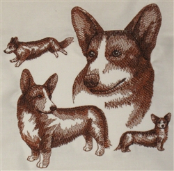 Dogs - Cardigan Welsh Corgi