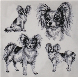 Dogs - Papillon