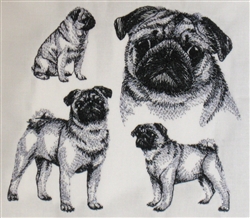 Dogs - Pug