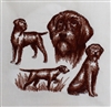 Dogs - Wirehaired Pointing Griffon