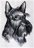 Dogs - Scottish Terrier Head