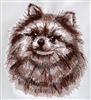 Dogs -  Pomeranian Head