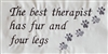 The Best Therapist has Fur and Four Legs