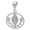 DCP1074 Silver DC Guadalupe with Roses Pendant 30mm