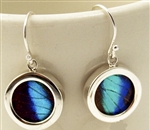 Round Butterfly Earrings