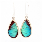 Oblong Butterfly Earrings