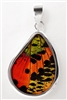 Teardrop Butterfly Wing Pendants