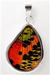 Teardrop Butterfly Wing Pendants