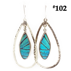 real butterfly wing "halo" earring