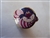 Disney Trading Pin 163588     PALM - Cheshire - Cats and Dogs - Micro - Mystery - Alice in Wonderland