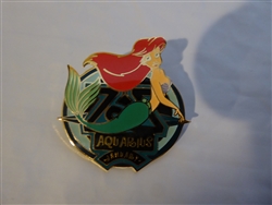 Disney Trading Pin 3438 WDW - Zodiac POM Series - January 2001 - Aquarius - Ariel
