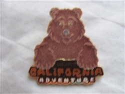 3524 DCA - Bear (Furry)
