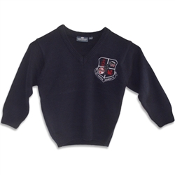 UNISEX ADULT NAVY V-NECK PULLOVER