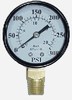 Pressure Gauge 1/4" NPT Bottom-mount Gauge 300psi 2"