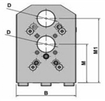 DW230-B25x2-100-B : VDI Double Boring Holder BMT55