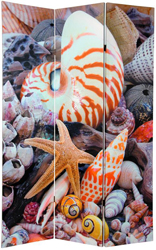 6 ft. Tall Double Sided Seashells Room Divider