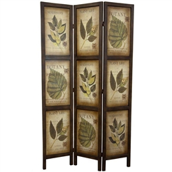 6 ft. Double Sided Vintage Botanic Printed Wood Room Divider