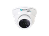 Everfocus EBH5241 HD CCTV Outdoor Ball Camera