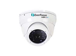 Everfocus EBH5241 HD CCTV Outdoor Ball Camera