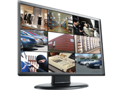 Everfocus EN1080P32A 32" 1080p HD Pro Series LCD Monitor