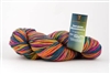 Universal Infusion Hand Paint Yarn