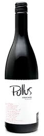 Ptujska Klet Pullus Pinot Noir 2021 (Podravje, Slovenia) (750ml)