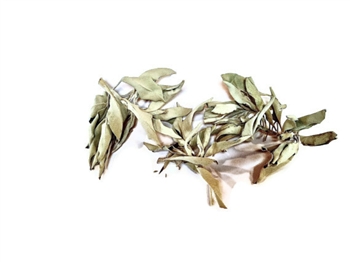 Loose White Sage Smudge 4 oz