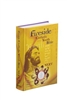 Fireside Catholic Youth Bible - NEXT NABRE Hardcover