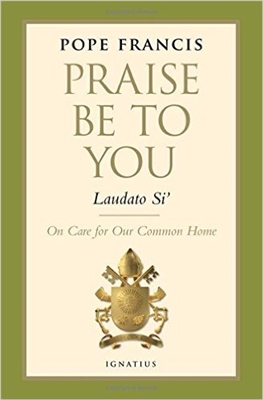 Laudato Si - Praise Be To You