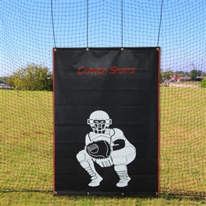 Cimarron 4x6 Vinyl Backstop with Catcher