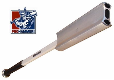 ProHammer Baseball Training Bat