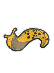 Banana Slug Sticker