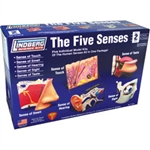 LINDBERG PLASTICS 71315... FIVE SENSES MODEL KIT