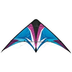 SKY DOG KITES ... THUNDERSTRUCK COOL 69.5"X31" R