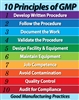 Good Manufacturing Practices (GMP) 10 Principles Poster