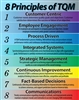 Total Quality Management, 8 Principles of TQM Poster