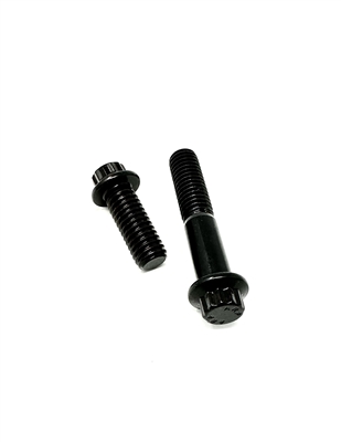 1/4-20 12 Point ARP bolts. Black Oxide. 180,000 psi tensile strength.