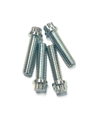 12 point bead lock bolts. Zinc silver plated