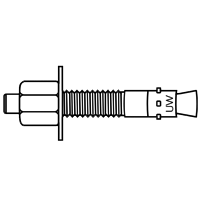 Wedge Anchor stainless steel