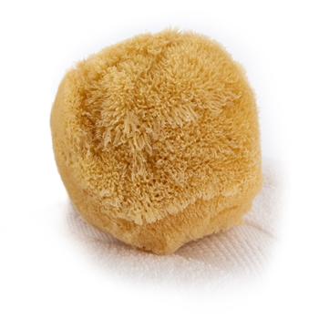 Sea Grass Natural Sea Sponge