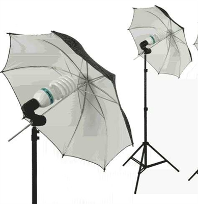 Single Black/silver reflective Umbrella Video background Light Kit