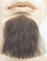Whisk Broom Beard