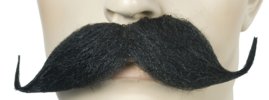 Handlebar Mustache